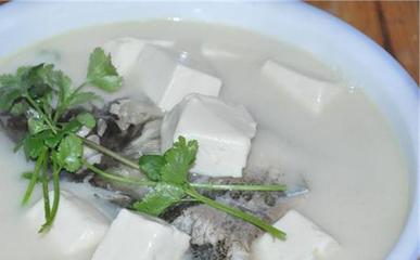 完带汤颗粒的现代应用 从传统方剂到保健减肥的思考